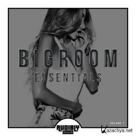 Bigroom Essentials Vol 1 (2017)