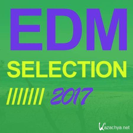 EDM Selection 2017 (2017)