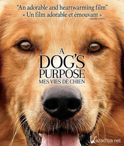   / A Dog's Purpose (2017) TS
