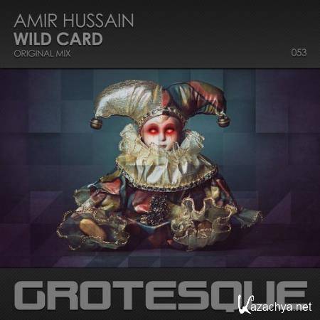 Amir Hussain - Wild Card (2017)