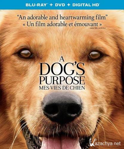������� ����� / A Dog's Purpose (2017) HDRip/BDRip 720p/1080p