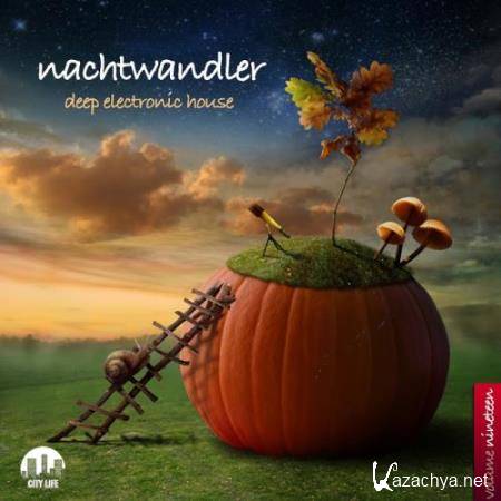 Nachtwandler, Vol. 19-Deep Electronic House (2017)