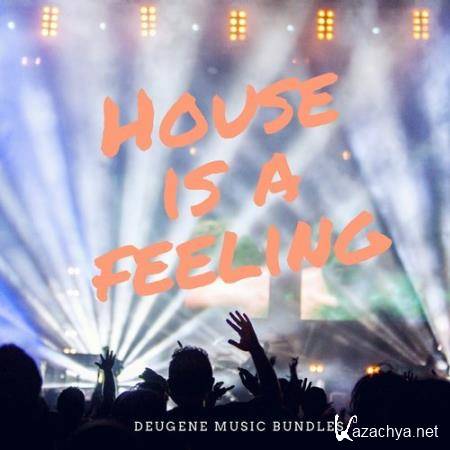 House Is A Feeling (2017)
