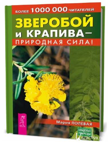 Мария Полевая. Зверобой и крапива – природная сила! Мария Полевая. Зверобой и крапива – природная сила!