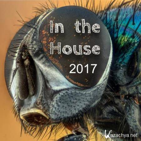 In The House 2017 (2017)