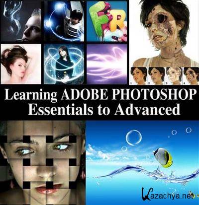 6 DVD-   Adobe Photoshop     