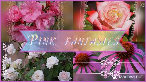   -   ProShow Producer