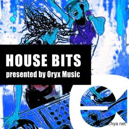 Best Of House Bits 33 (2017)