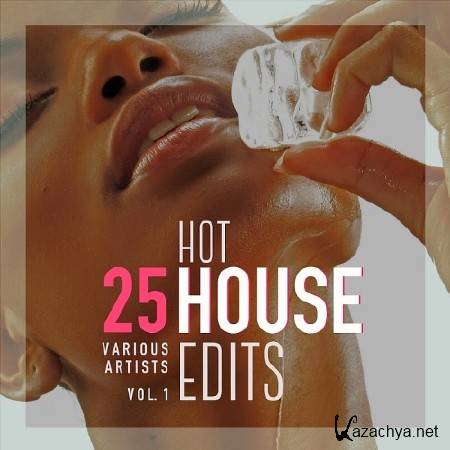 25 HOT HOUSE EDITS VOL 1 (2017)