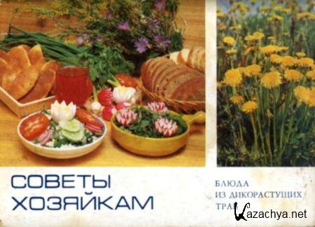 Стекольников Л. - Советы хозяйкам. Блюда из дикорастущих трав (1985) Стекольников Л. - Советы хозяйкам. Блюда из дикорастущих трав (1985)