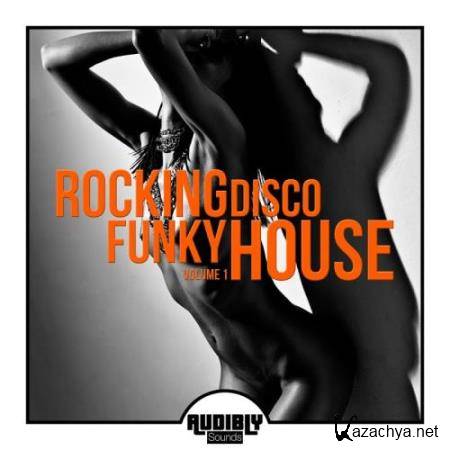 Rocking Funky Disco House, Vol. 1 (2017)