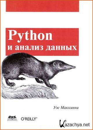   - Python   