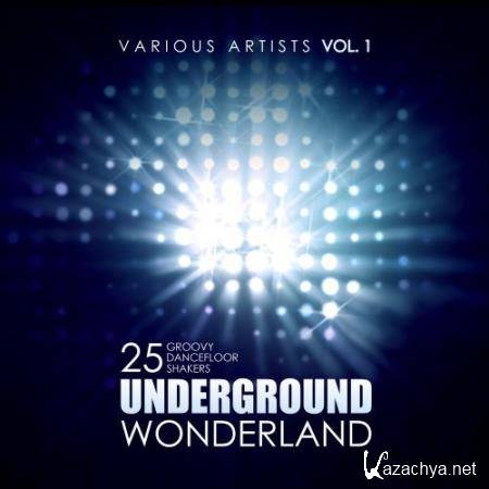 Underground Wonderland (25 Groovy Dancefloor Shakers), Vol. 1 (2017)