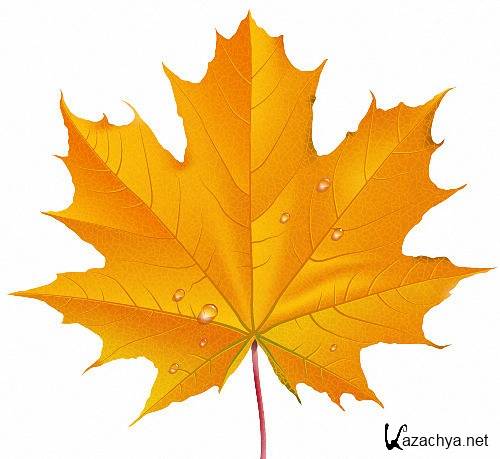 Клипарты Png - Осенние листья