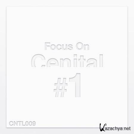 Focus on Cenital, Vol. 1 (2018)