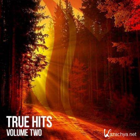 Suanda True - True Hits Vol 2 (2018)
