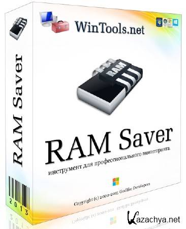 RAM Saver Professional 18.0 ML/RUS