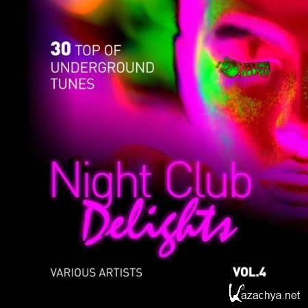 Night Club Delights (30 Top of Underground Tunes), Vol. 4 (2018)
