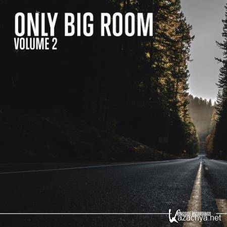Only Big Room (Volume 2) (2018)