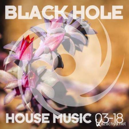 Black Hole House Music 03-18 (2017)