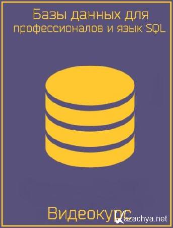       SQL.  (2017)