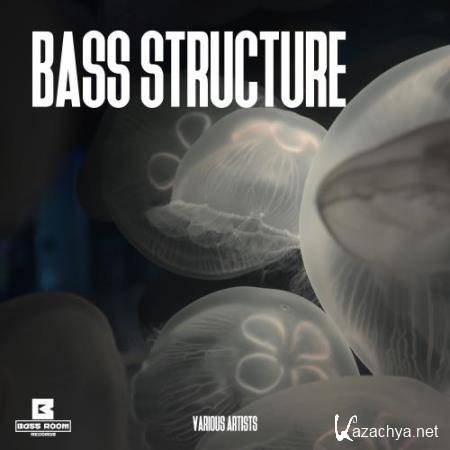 Bass Structure (2018)