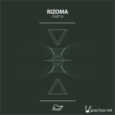 Rizoma 3 (2018)