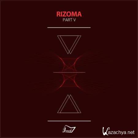 Rizoma 5 (2018)