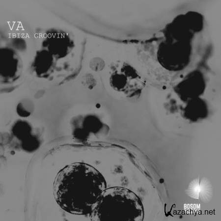 Ibiza Groovin (2018)