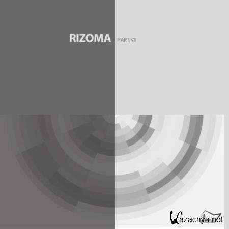 Rizoma 7 (2018) Rizoma 7 (2018)