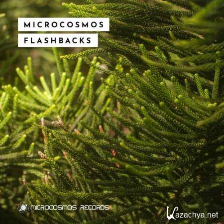 Microcosmos Flashbacks (2018)