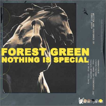 Forest Green - Nothing Is Special (2018)