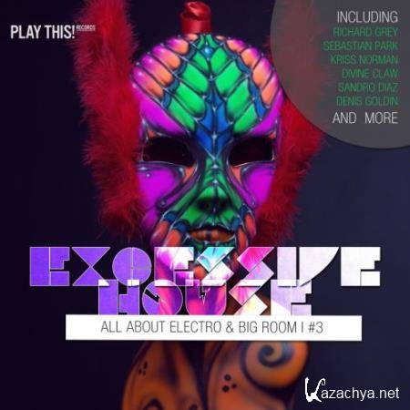 Excessive House Vol 3 (All About Electro and Big Room) (2018)
