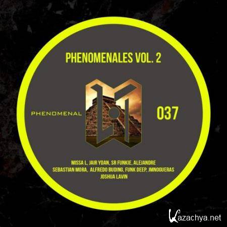 Phenomenales Vol. 2 (2018)