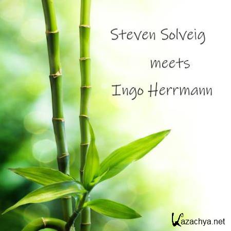 Steven Solveig Meets Ingo Herrmann (2018)