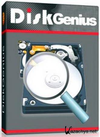 DiskGenius Professional 5.0.0.589