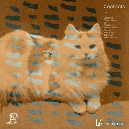 In The Box - Cool Cats (2018)