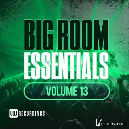 Big Room Essentials, Vol. 13 (2018)