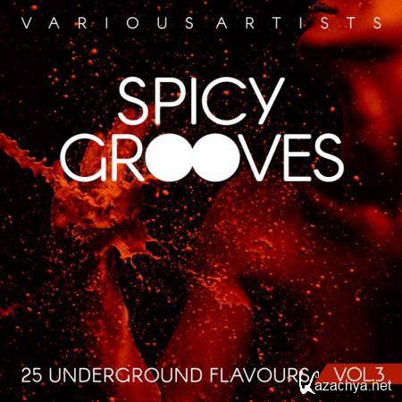 Spicy Grooves 25 Underground Flavours Vol 3 (2018)