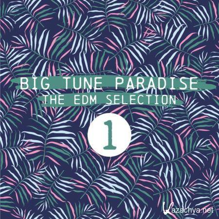 Big Tune Paradise (The EDM Selection, Vol. 1) (2018)