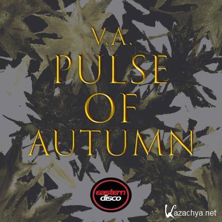 NEUSTADTMUSIK: Pulse of Autumn (2018)