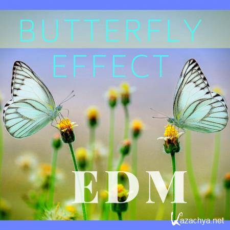 Dj Swaggy - Butterfly Effect Edm (2018)