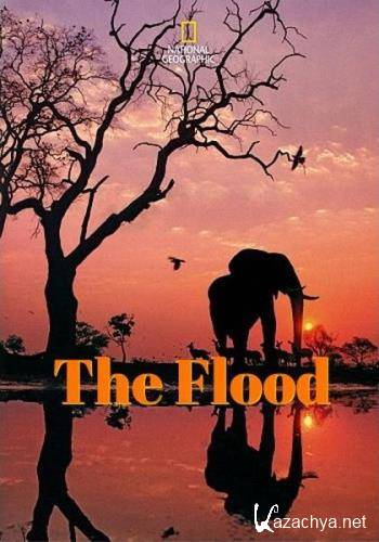  / The Flood (2018) HDTV 1080i
