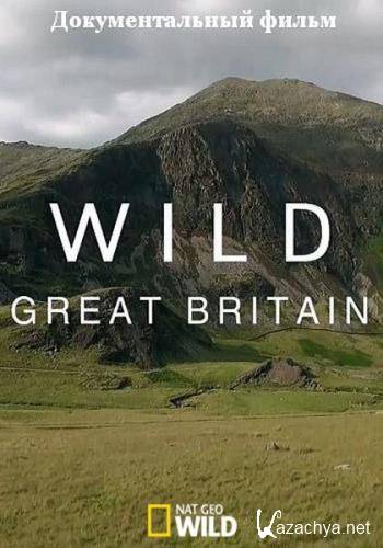    / Wild Great Britain (2018) HDTV 1080i