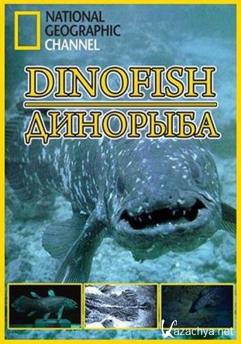 / Dinofish (2011) HDTV 1080i