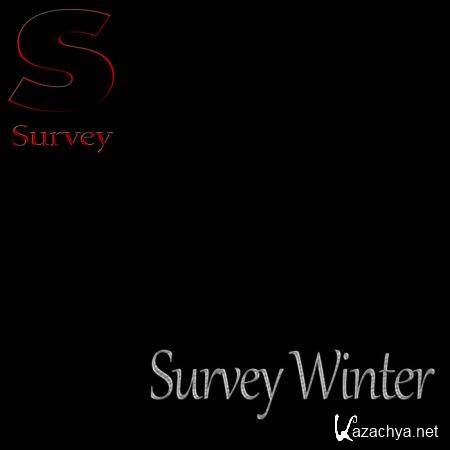 Survey Winter (2018)