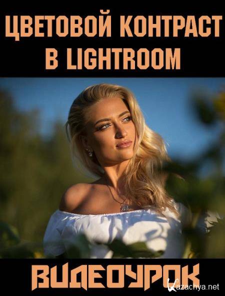    Lightroom (2018) WEBRip