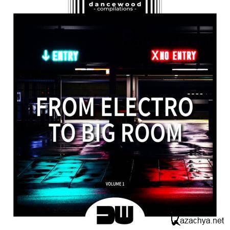 From Electro To Big Room, Vol. 1 (2019)