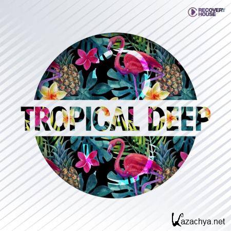 Tropical Deep, Vol. 3 (2019)