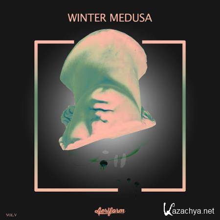 Winter Medusa , Vol. 5 (2019)